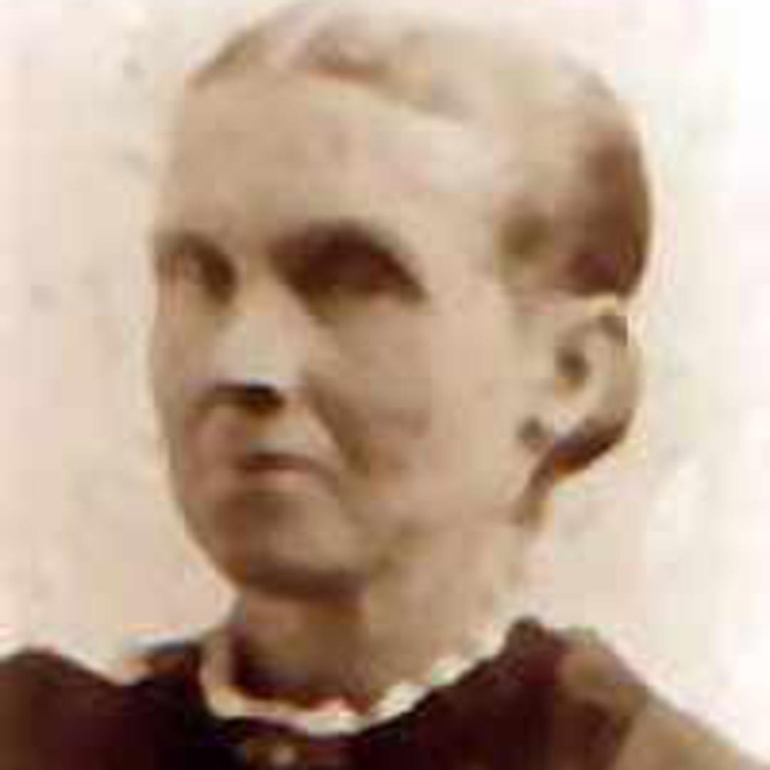 Nancy Meribah Behunin (1840 - 1910) Profile